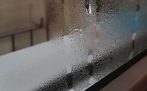 Zaparowane okna od zewnątrz, z kroplami wody tworzącymi wzory. W tle widać niewyraźne kształty.